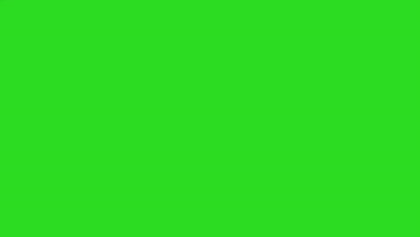 close up studio profile shot of female teacher or businesswoman walking past green screen