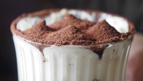 close-up of a tiramisu dessert