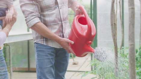 grandparents with baby grandson watering plants in greenhouse together