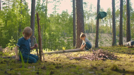 two little boy collecting firewood in the forest. two little brothers in the forest gather wood together and build a fire