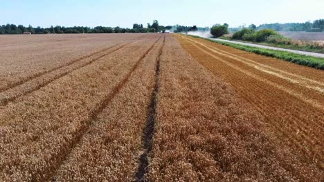 Aerial-Shot-of-Combine-Loading-Off-Corn-Grains-Into-Tractor-Trailer-1