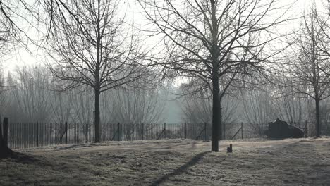on a frosty morning dog walkers explore the grounds of christ church in oxford, uk, 12
