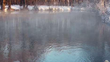 Vogelpaar-Schwimmt-Im-Nebligen-Wintersee.-Nebel-über-Dem-Wintersee-Am-Morgen