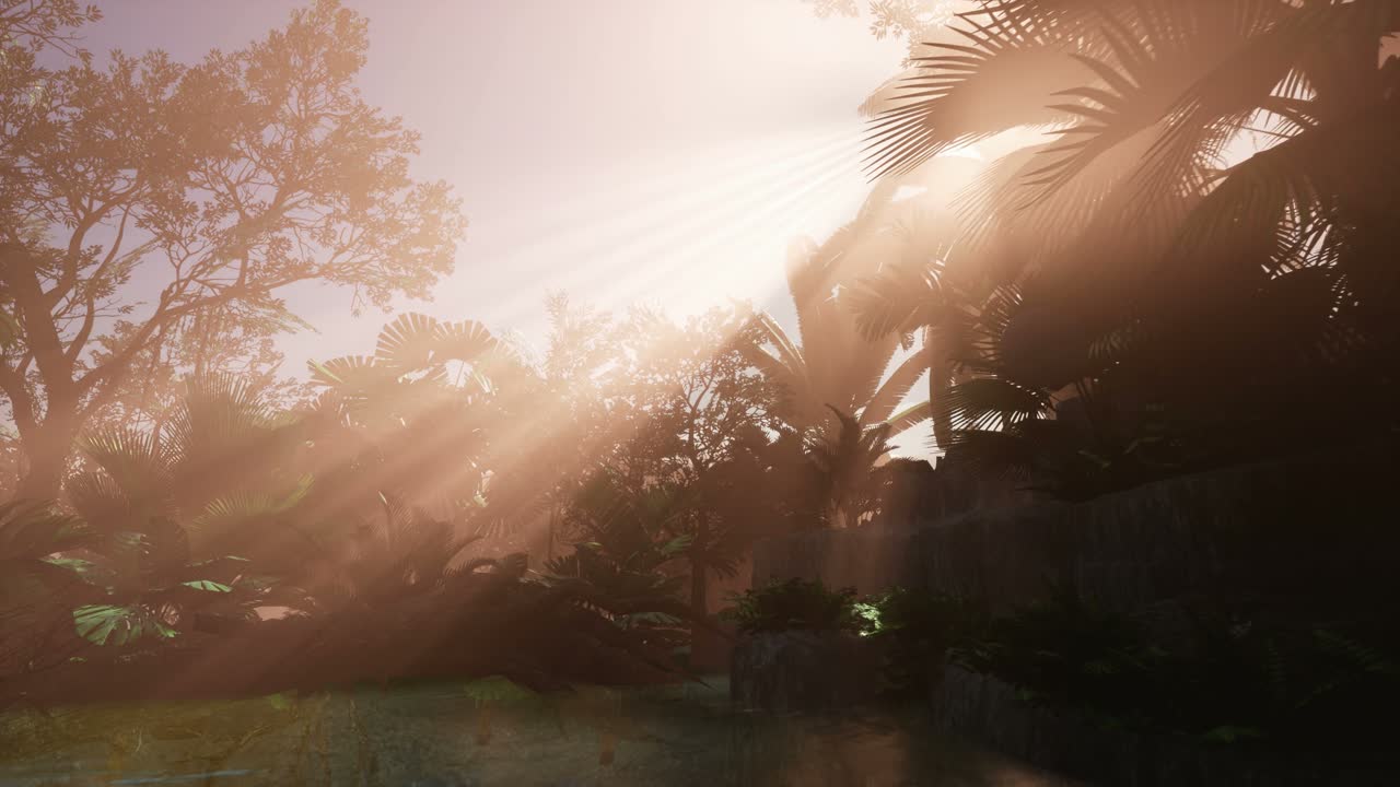 los rayos del atardecer a través de las palmeras