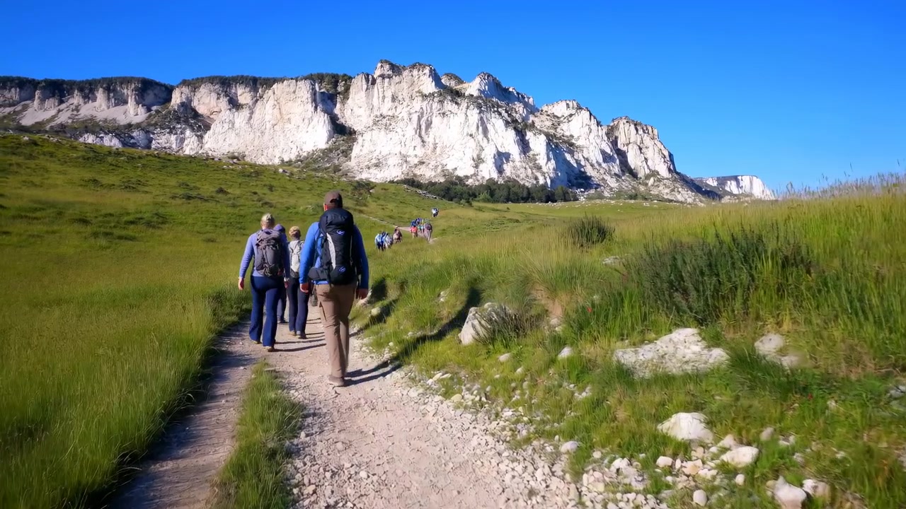 Group of hikers proceeds along a narrow rocky footpath through tall green grass, seen from behind as pale sunlit cliffs fill the horizon beneath cloudless blue sky.