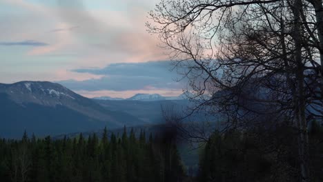 slow-motion shot through branches of a funset in the canadia rockies