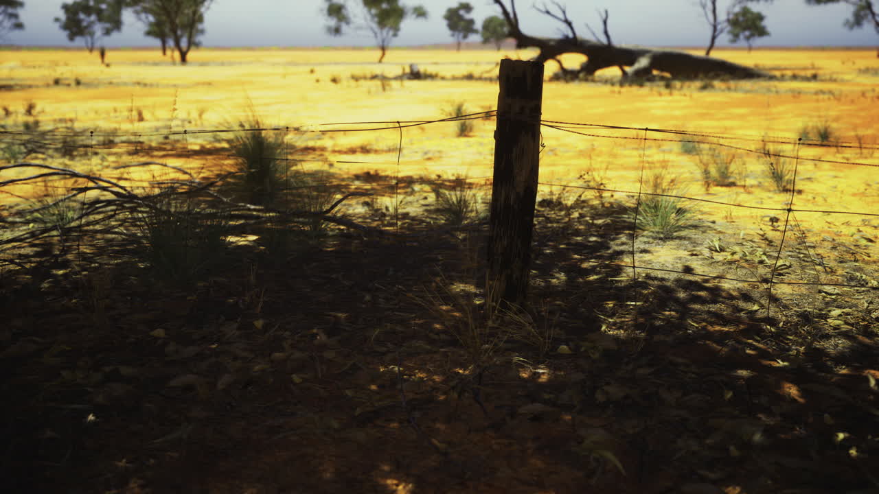 Photogenic landscape with barbed wire fence at dusk in remote area