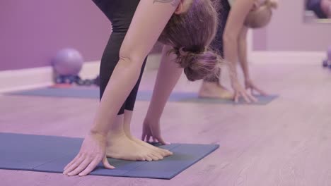 women exercising in a fitness or yoga class