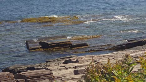 main's rock bound coast showing ocean, tide, and granite rocks