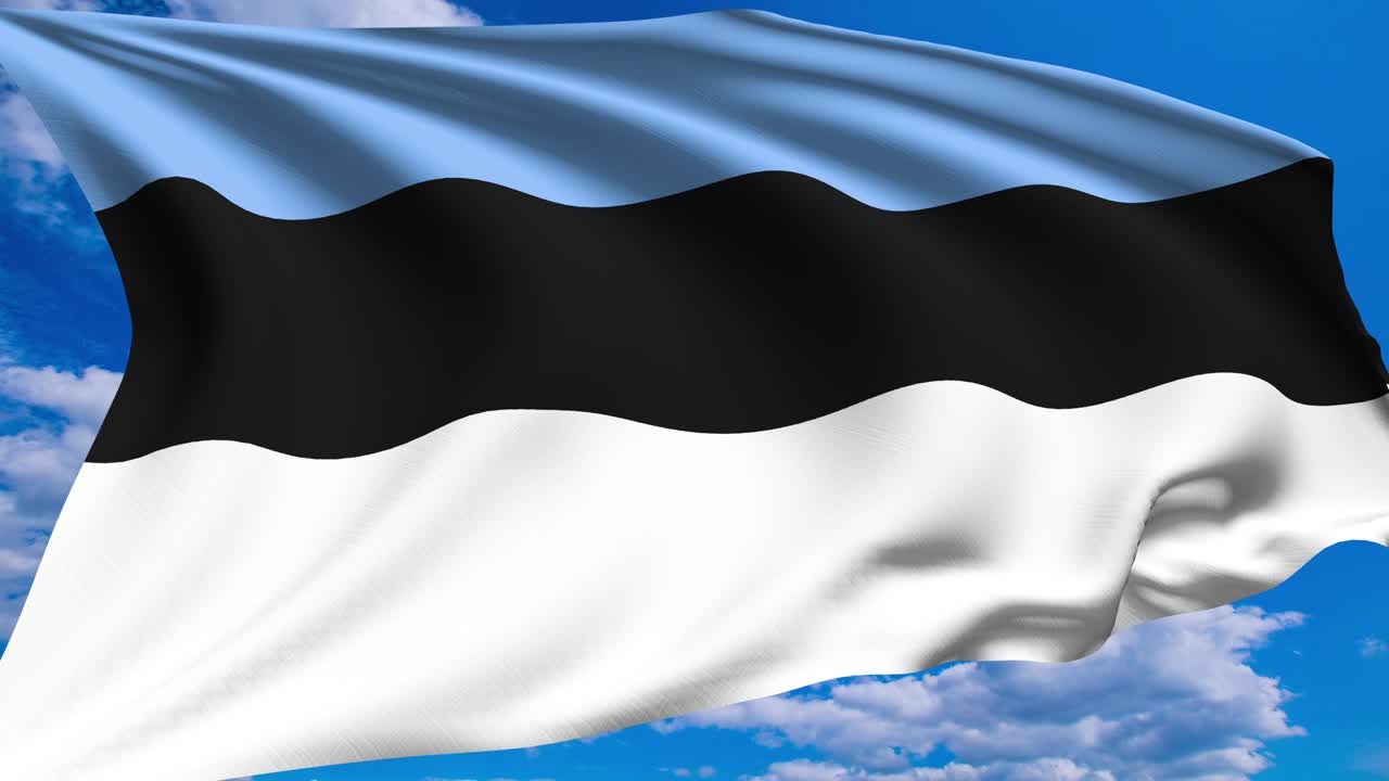 흐린 하늘에 대한 에스토니아의 발 (알파 채널, 루프 가능)