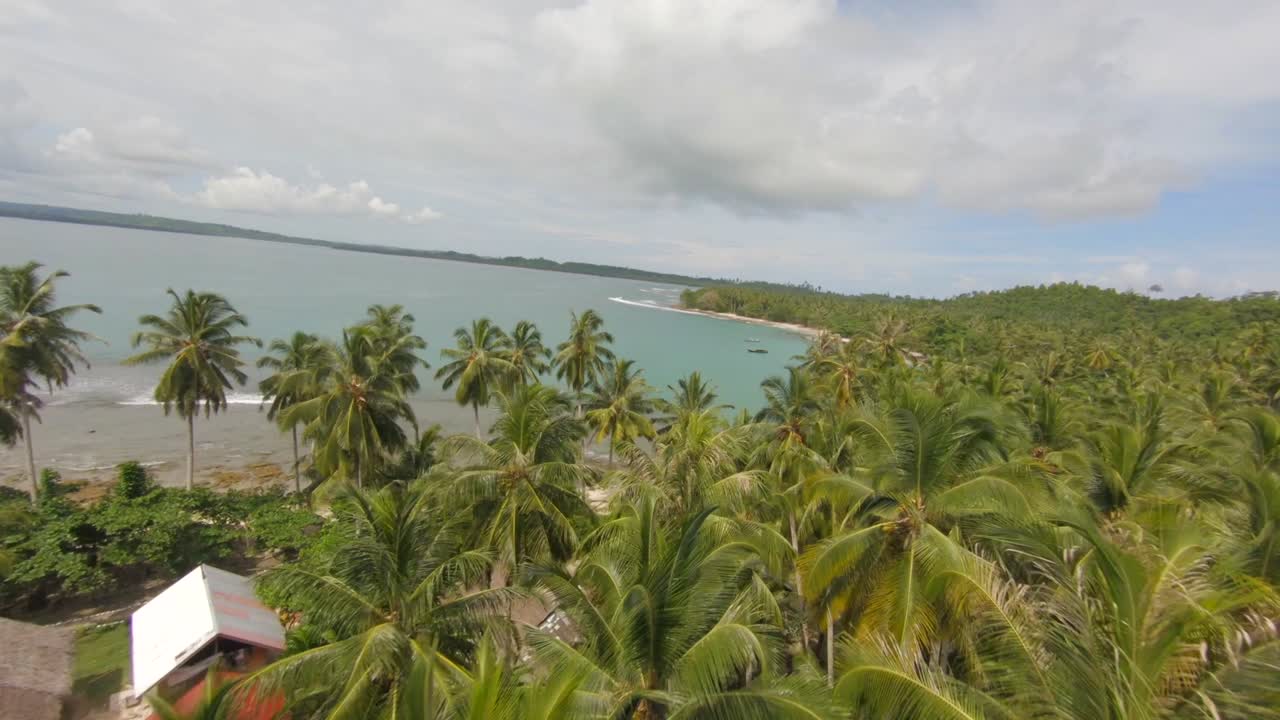 Drone flying low over palm trees on a remote tropical island