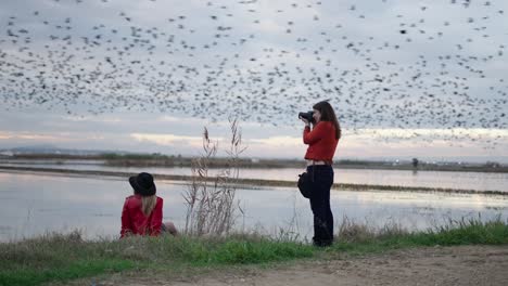 women photographing a flock of birds