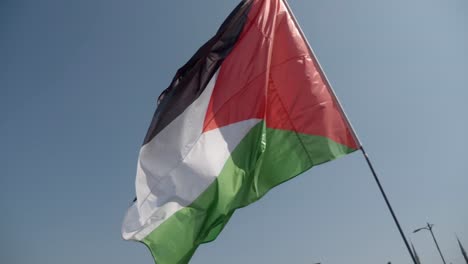 palestinian flag at a protest