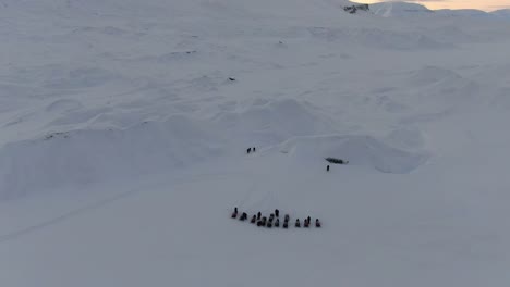 drone view in svalbard flying over snowy white mountains with a line of snowmobiles and people walking in norway