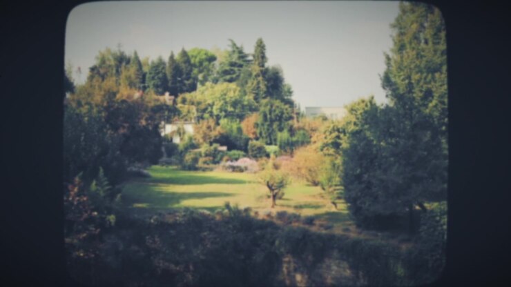 Parco cittadino verde