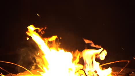in close up, a flame is shown consuming logs