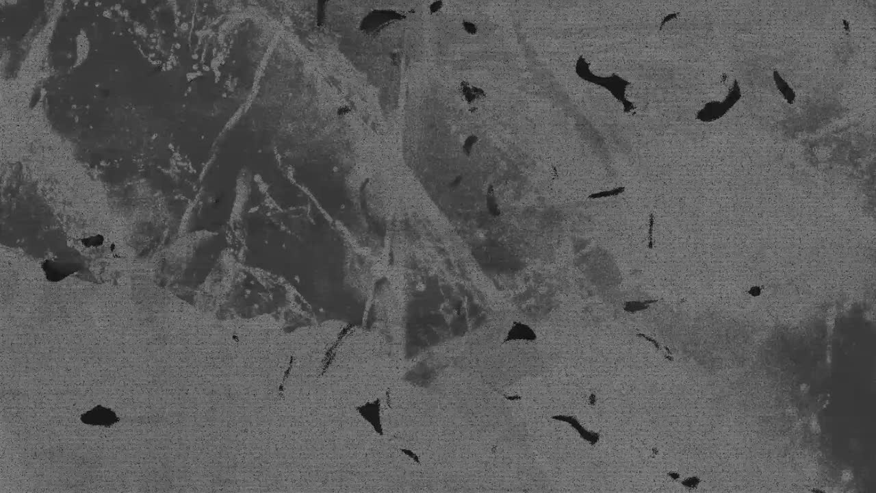 Moving Abstract Grayscale Grunge Texture Background