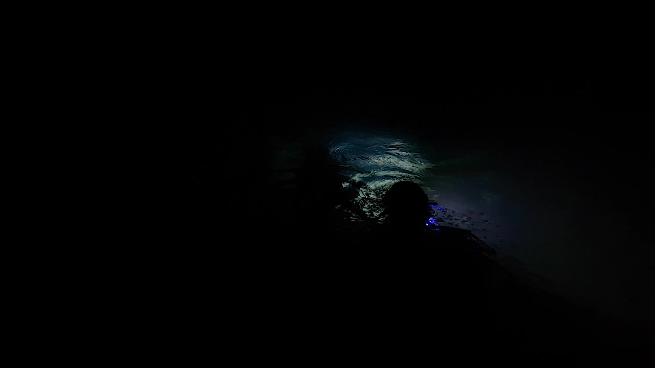 una silueta de un buzo que ingresa al agua por la noche usando antorchas submarinas