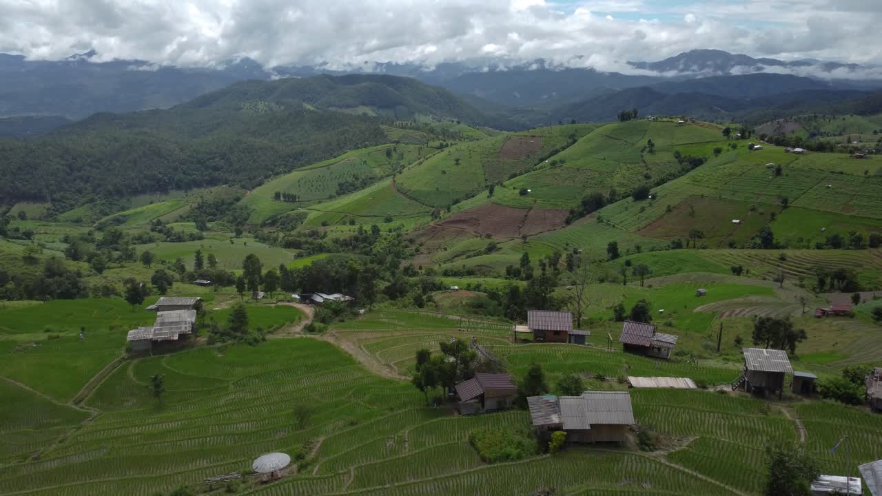 cielos malhumorados sobre los campos de arroz en terrazas de pa pong piang, norte de tailandia