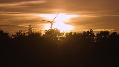 una silueta de la turbina eólica en el atardecer sobre el bosque oscuro