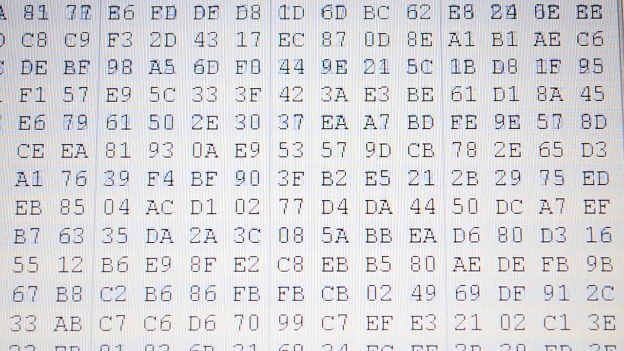 Program code. Hexadecimal program code on screen. Animated background of moving binary code numbers