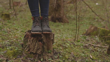 someone's boots on top of a cut log in the middle of the green forest