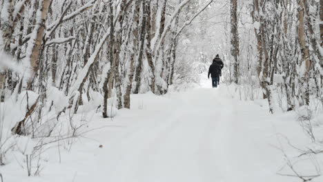 Rückansicht-Von-Menschen,-Die-Auf-Einem-Verschneiten-Waldweg-In-Lappland-Spazieren-Gehen,-Statisch