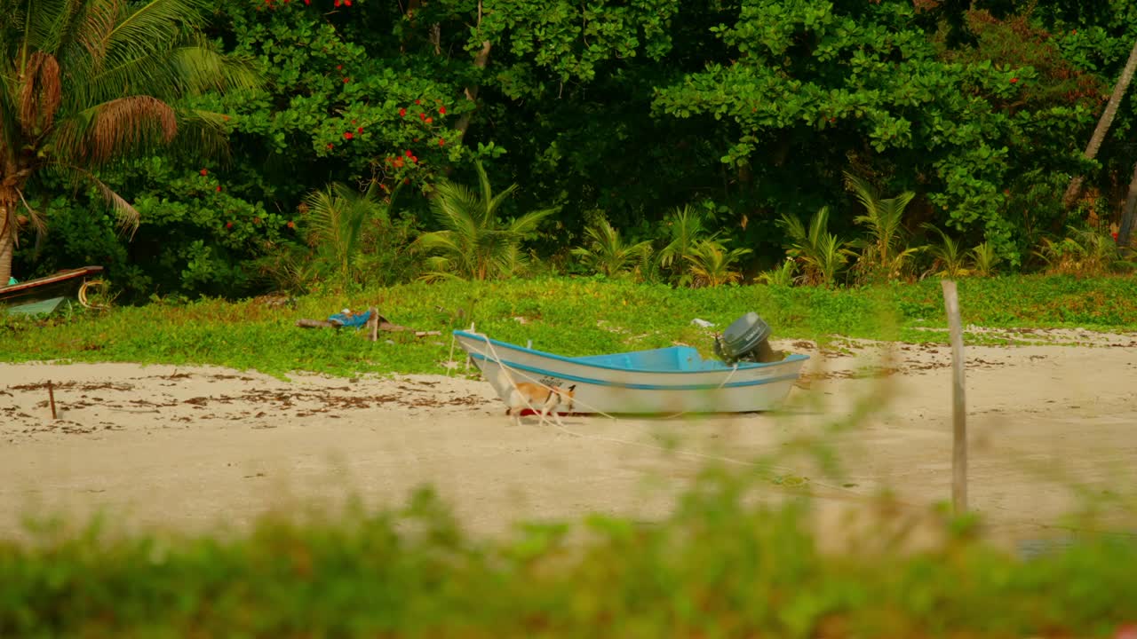 Tropical Beach Scene with Fishing Boat
