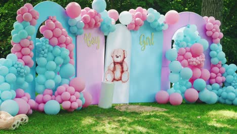 boy or girl gender reveal party outside, beautiful backdrop with colored pink and blue ballons and teddy bears for guests to take pictures