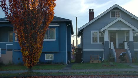 autumn tree and houses in east side neighborhood in vancouver, bc, canada