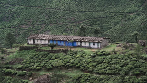 un plano general de los trabajadores de la finca de té en una plantación de té cerca de valparai, tamil nadu