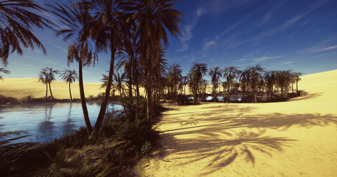 Tranquil palm shelter beside peaceful lagoon under starry heavens