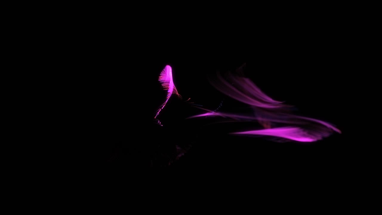 líneas brillantes abstractas