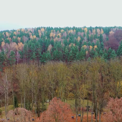 beautiful natural scenery