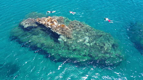 aerial view of young scuba diver swimming around