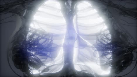 human lungs radiology exam