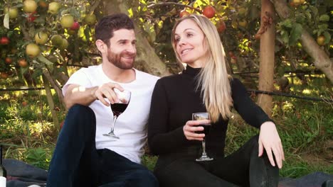 couple having wine in orchard