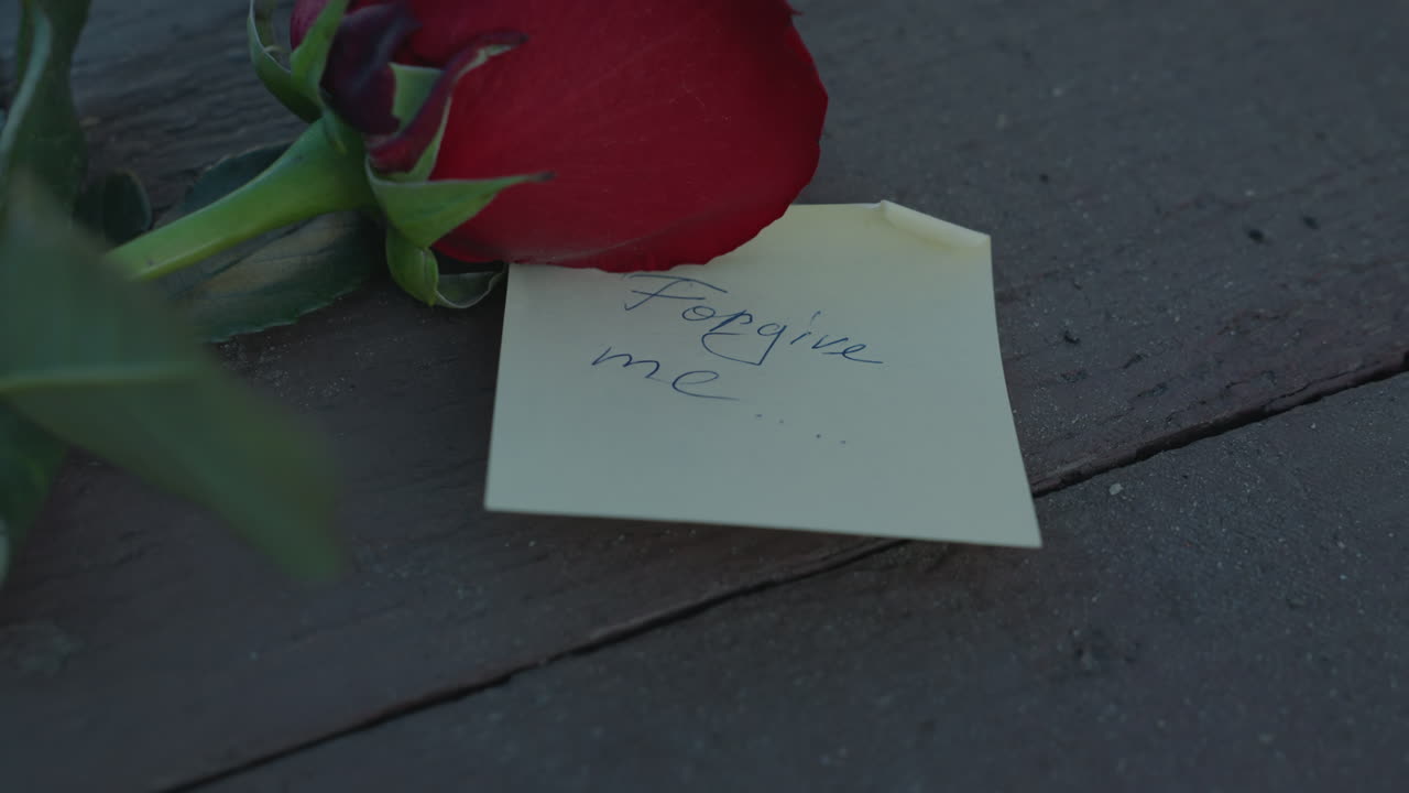 Red rose handwritten note on wood, intimate cinematic closeup capturing apology mood, soft golden sunlight grazing petals, faded ink message on textured plank, delicate stem and leaf in shallow focus