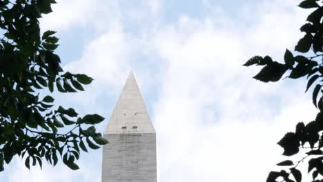 incline hacia abajo cerca del monumento a washington a través de algunos árboles ubicados en washington dc en los ee.uu.