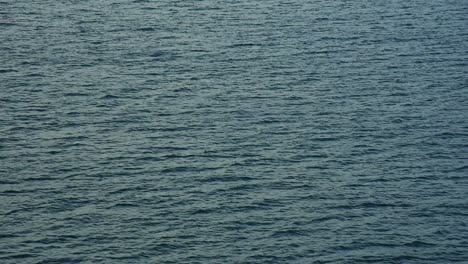 Calm-turquoise-blue-water-surface-of-the-ocean-in-evening-light