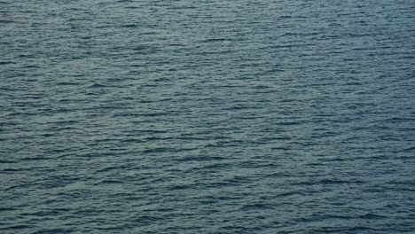 calm turquoise blue water surface of the ocean in evening light
