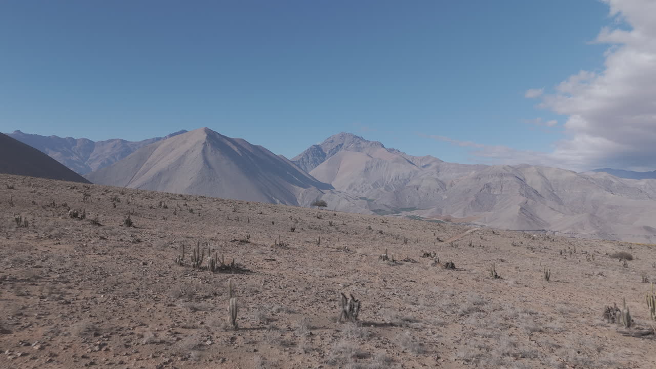 Forwards drone shot flying above Elqui Valley Chile South America near the Mamalluca Mountain on a bright blue day with vineyards on the ground and mountain rock formations in the landscape LOG