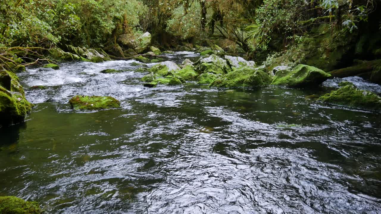 Riwaka Resurgance River in Kahurangi National Park in New Zealand