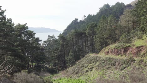 toma amplia de un caminante solitario caminando por un sendero hacia el océano pacífico en el norte de california