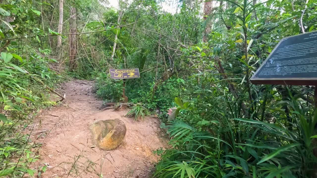 가이드 표지판 을 가진 울창 한 숲 을 가로질러 가는 길