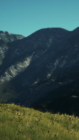 panoramic view of alpine mountain landscape in the alps