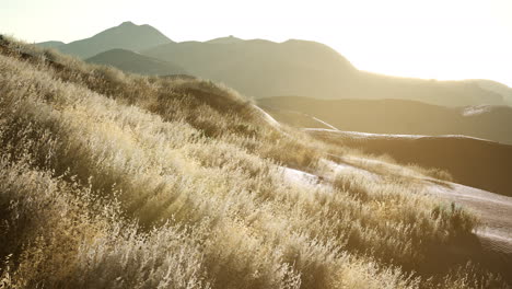 Sunset-over-the-Valley-Fields