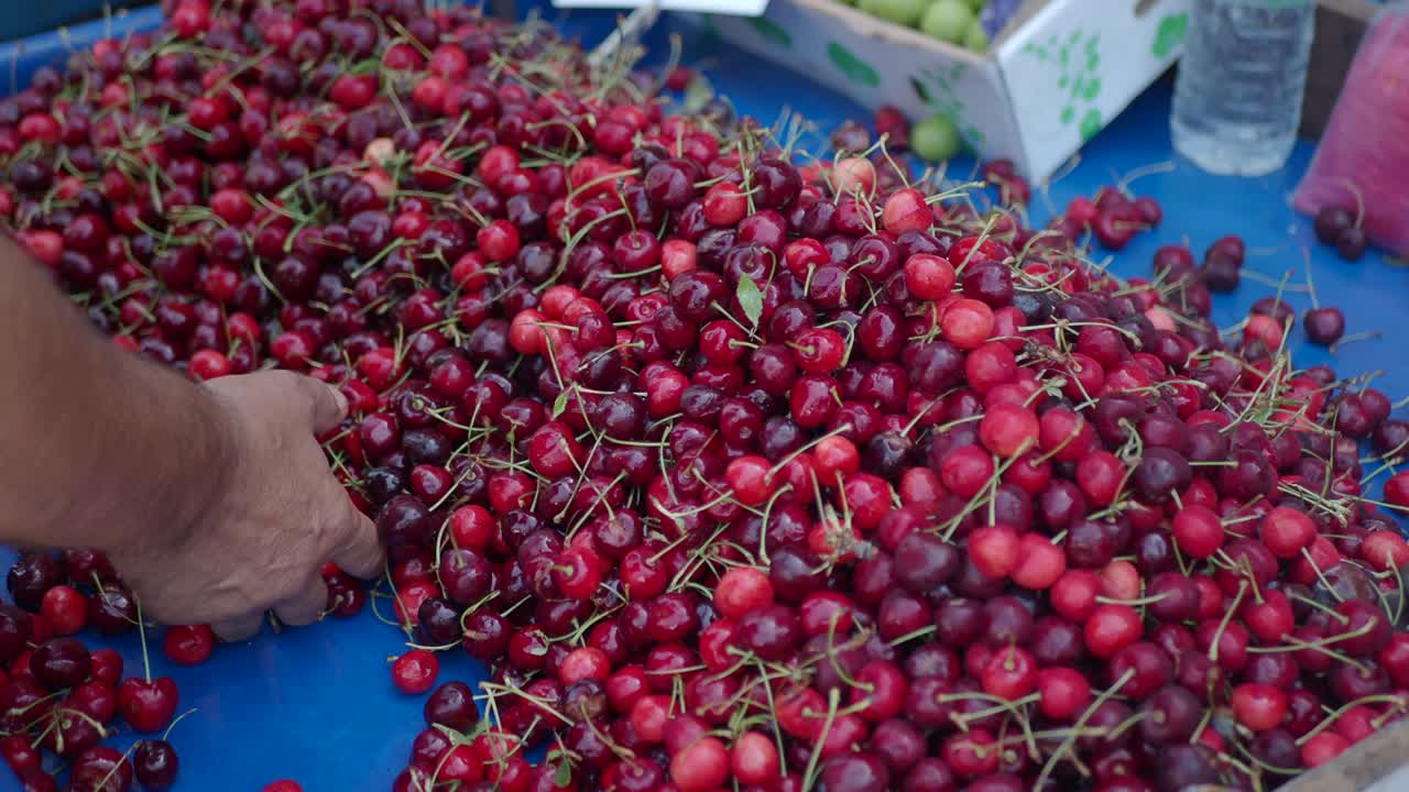 Hands Selecting and Piles of Cherries at a Market