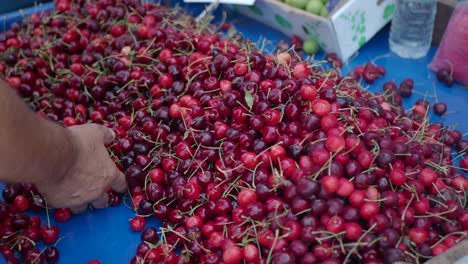 hands selecting and piles of cherries at a market