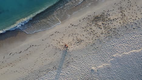 vista aérea de una pareja de pie en la playa
